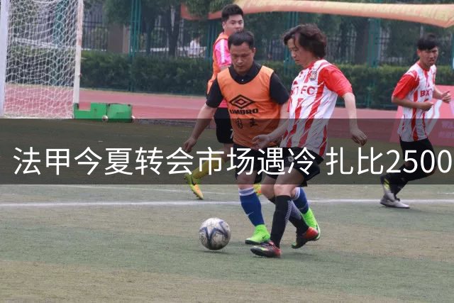 法甲今夏转会市场遇冷 扎比2500万欧标王身价不足英超零头